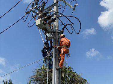 BẢO TRÌ RECLOSER VÀ DS NGOÀI TRỜI